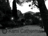 Kami Catherman - Artwork by Kami PHOTOGRAPHY