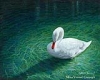Mona Youssef - "White Swan"