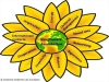 Sunflowers  Art Association