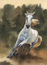 Nilolay Mikhaylin - Horses