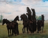 rob langenberg - Horses